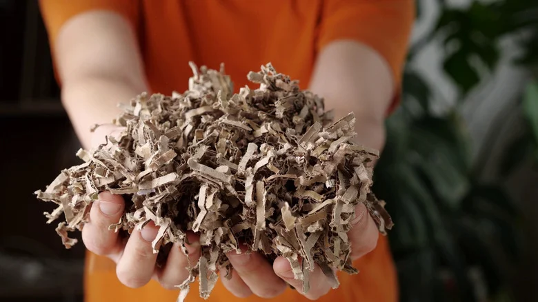 Everyday Trash That Can Be Used To Make Your Garden Thrive