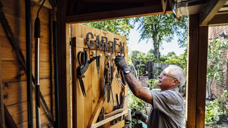 Everyone Owned It For Centuries, And It’s Still Hard To Match In The Garden