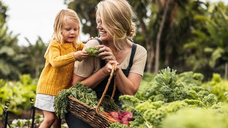 Everything You Need To Know To Start A No-Till Garden