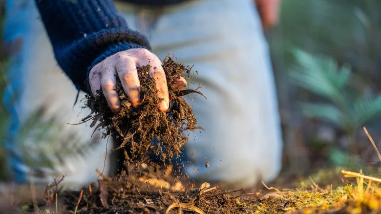Fall Is The Perfect Time To Collect Compost Materials