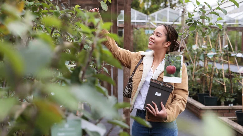Fast-Growing Fruit Trees You’ll Want To Plant In Your Yard
