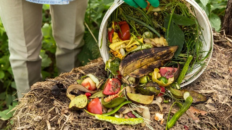 Fertilize Your Garden With A Common Leftover Ingredient From Your Kitchen