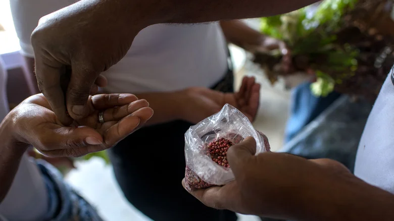 Forget Buying Seeds For Your Garden. Here’s How To Get Them For Free