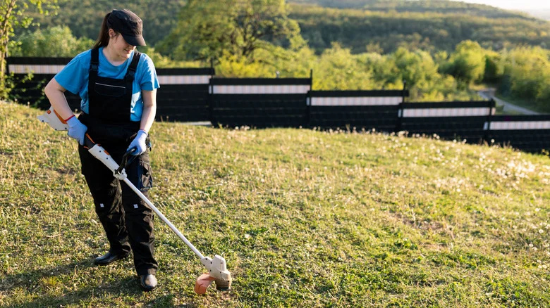 Forget Expensive Equipment: The Best Budget Battery Lawn Tool Brand, Per Consumer Reports