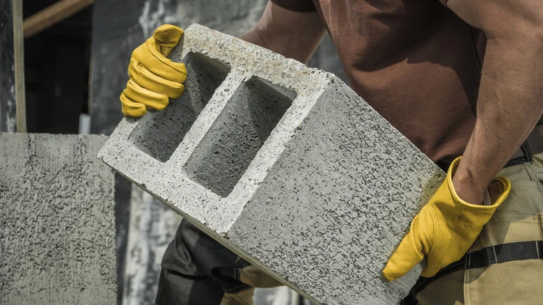 Gardener Builds An Epic Raised Garden Entirely From Concrete Blocks