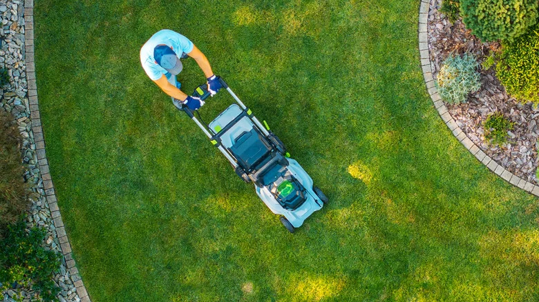 Gas Or Electric Lawn Mower: One Option Might Cost You More In The Long Run