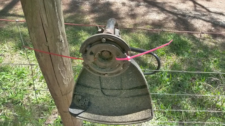 Genius Hack Or A Waste Of Ties? We Tried TikTok’s Viral Weed Eater DIY
