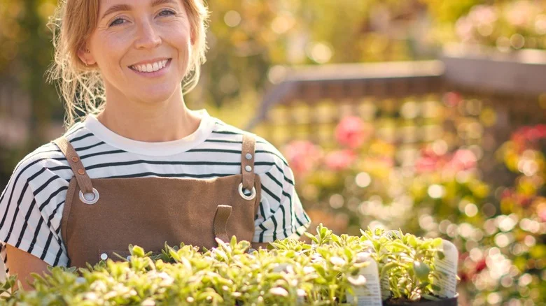 Get A Jump Start On Gardening With A DIY Seedling Tray On A Dollar Tree Budget