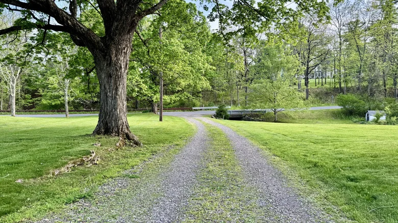 Get Rid Of Weeds 10x Faster In Your Gravel Driveway With An Amazon Find That’s Chemical-Free