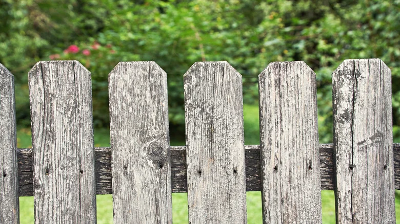 Give An Old Fence New Life With A Stylish Hanging Planter DIY