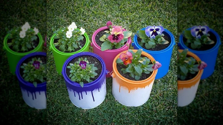 Give An Old Paint Can New Life By Turning It Into A Gorgeous Planter