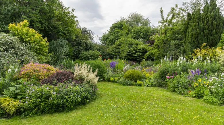 Give These Tree And Shrub Varieties A Boost With A Kitchen Staple