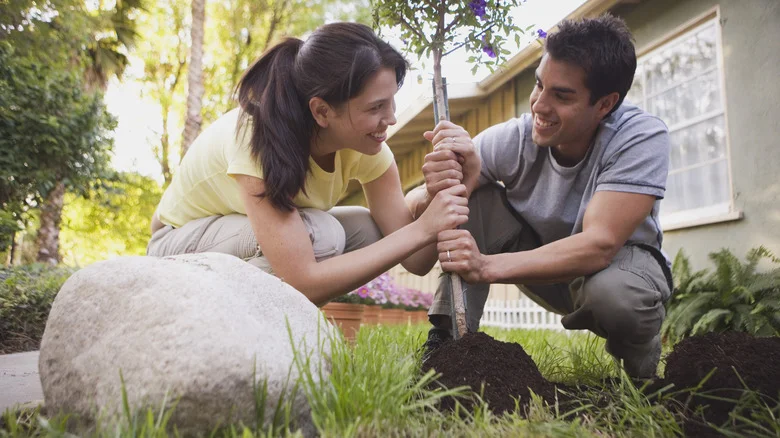 Give Trees A Healthy Kickstart With This Simple Planting Technique