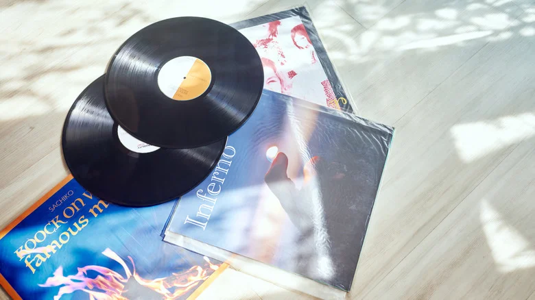 Give Vinyl Records New Life In Your Garden With This Unexpected Twist