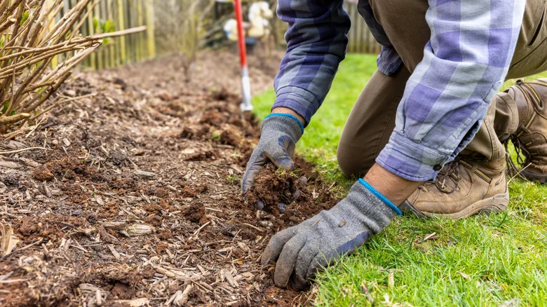 Give Your Garden Bed A White Fence-Like Edging Upgrade From Amazon