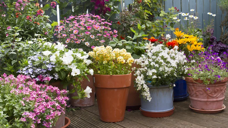 Give Your Garden Planters A Major Upgrade With This Wine Cork Hack