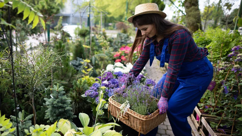 Goodbye Concrete Blocks: Build Your Garden Beds Quickly With This Unique And Durable Material
