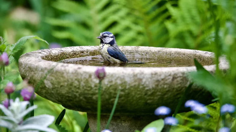 Goodbye Traditional Bird Baths — There’s An Amazon Find That Doubles As Garden Decor