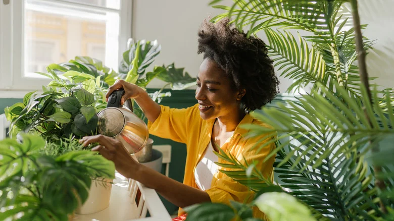 Grab A Few Popsicle Sticks To Make The Perfect Home For Your Houseplants