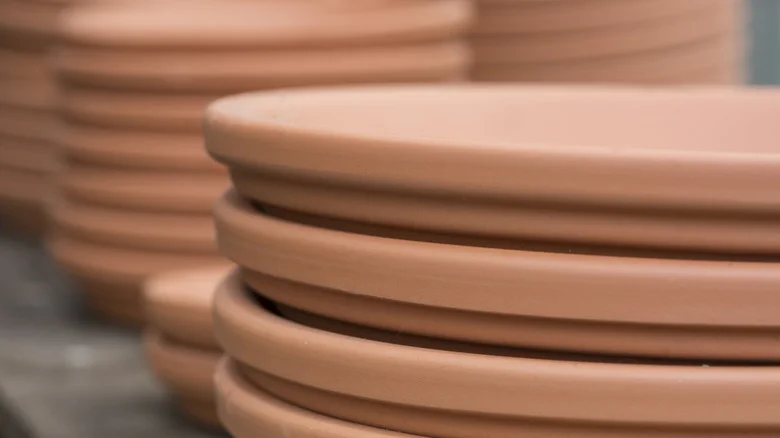 Grab An Old Terra Cotta Plant Saucer & Watch What You Can Grow