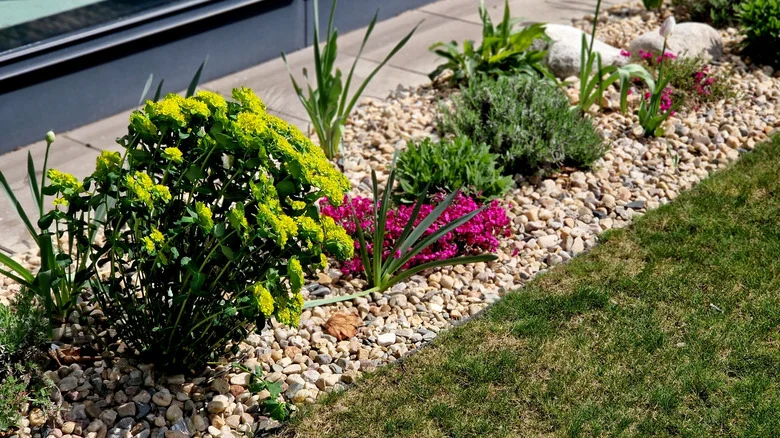 Gravel May Be More Reliable Than Wood Mulch In Your Yard. Here’s Why