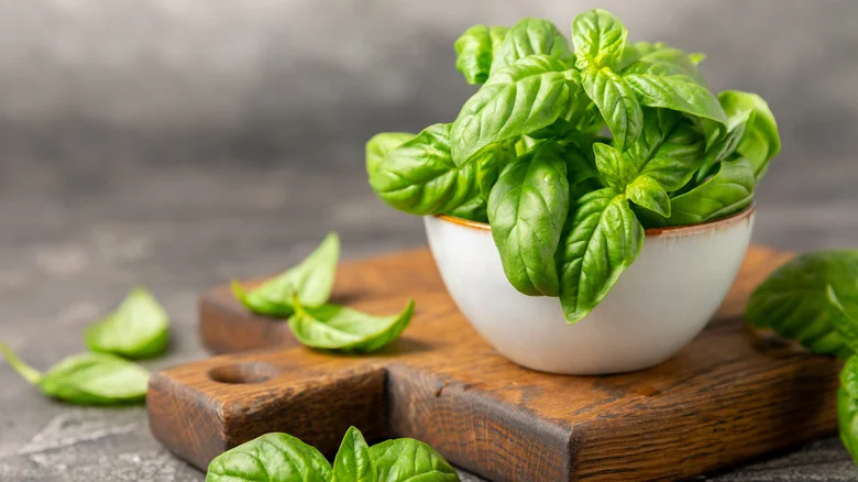Grow Better, More Flavorful Basil With One Simple Garden Addition