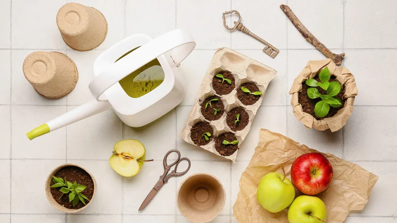 Grow Healthy Seedlings And Soil With These DIY Cardboard Biodegradable Seed Starting Pots