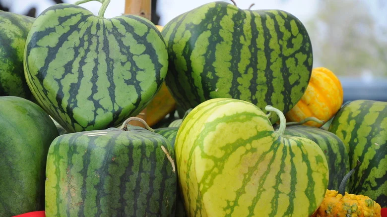 Grow Your Fruits And Veggies Into Fun Shapes With This Creative Gardening Trick