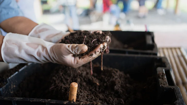 Heat Your Greenhouse Using The Compost From Your Garden