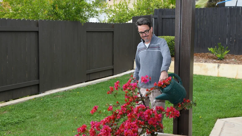 Help Your Bougainvillea Bloom With A Kitchen Scrap You’re Likely Throwing Out