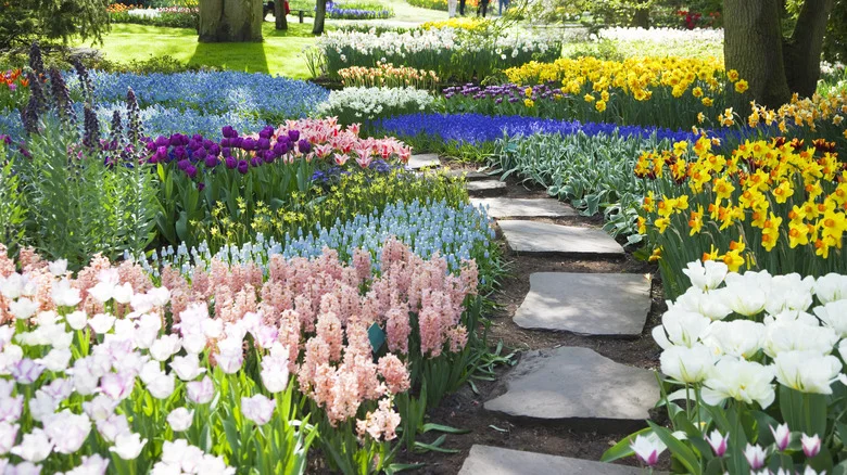 Helping Spring Bulbs Bloom Is Easier Than You Think With This Gardening Hack