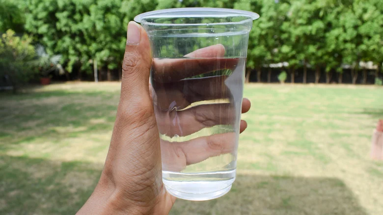 Here’s How Long Grass Can Go Without Water