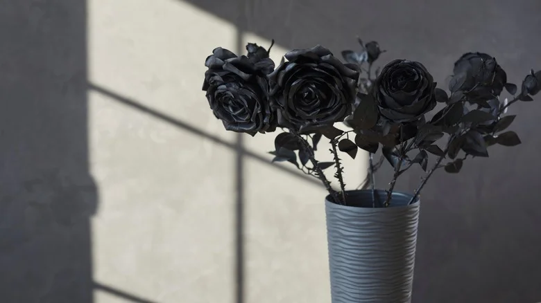 Here’s How To Grow Your Own Black Roses