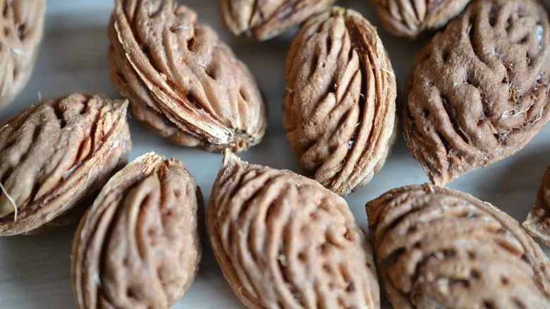 Here’s The Trick To Germinate Peach Seeds Fast