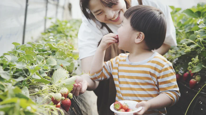 Here’s When You Should Remove Blossoms From Strawberry Plants For A Juicy Harvest