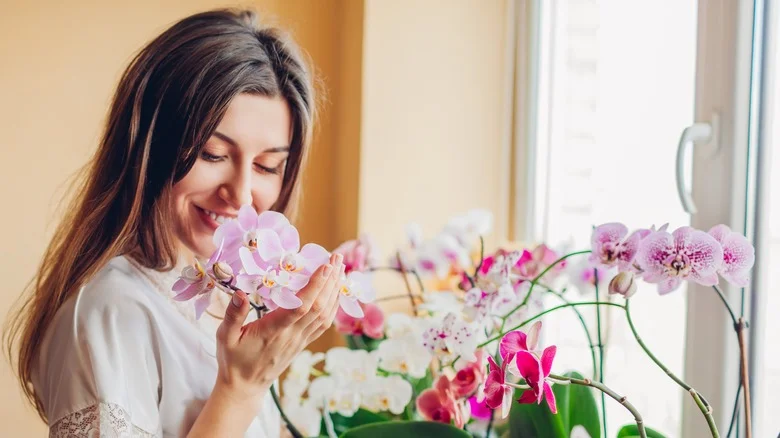 Here’s Why You Should Be Keeping Fresh Flowers In Your Home Year-Round