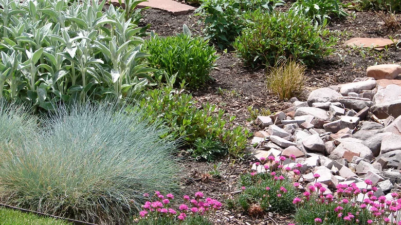 HGTV Explains The Gardening Trend That’s On Track To Be Huge In 2024