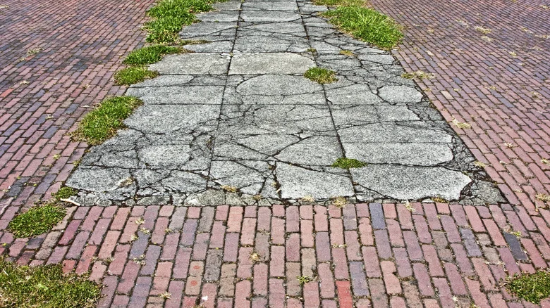 HGTV’s Ben Napier Shares His Surefire Method For Banishing Unwanted Weeds