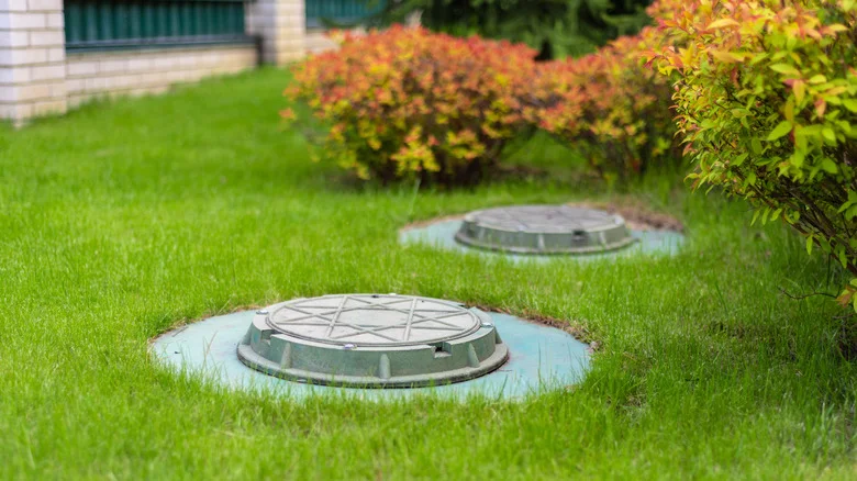 Hide Your Unattractive Septic Tank With One Easy Garden Hack