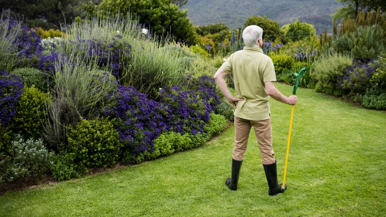 Hold The Fertilizer: Do These Lawn Care Tasks First