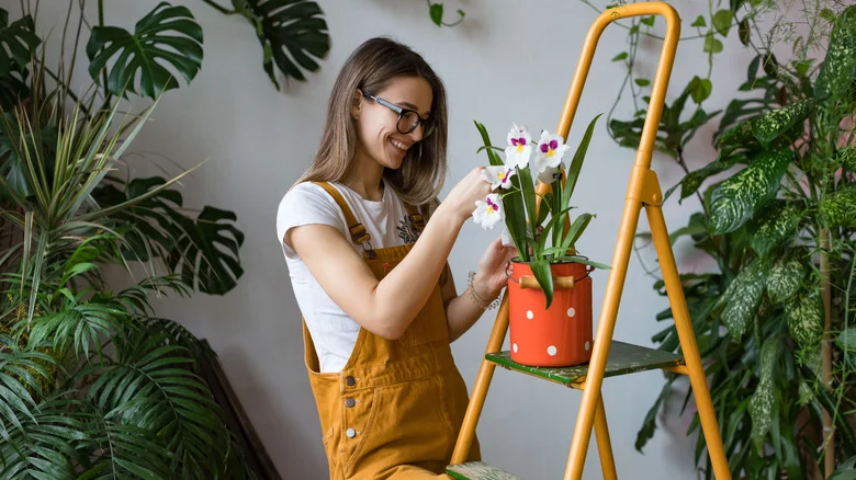 How Long Can Potted Orchids Live?