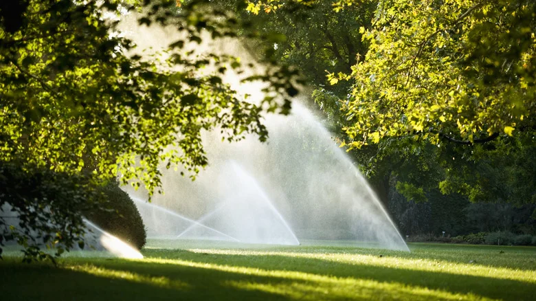 How Long Do You Have To Run Your Sprinklers To Equal An Inch Of Rain Water?