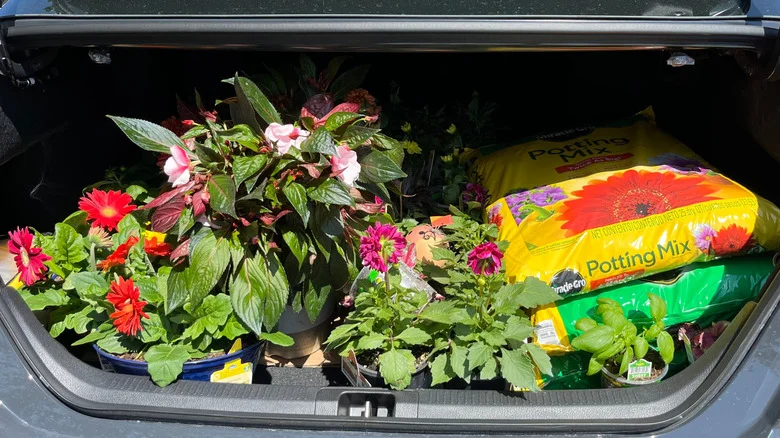How Long Does An Open Bag Of Potting Soil Last? Here’s What To Know