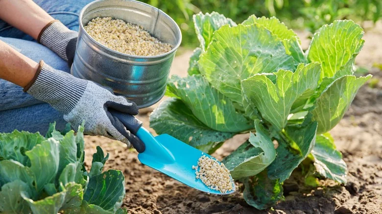 How Long Does Fertilizer Really Last? (And Signs It’s Time To Toss It)