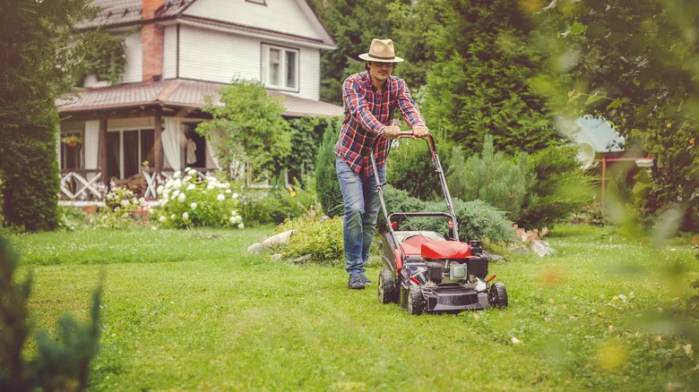 How Many Years Do Lawn Mower Blades Typically Last?
