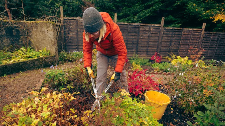 How Much Should You Upgrade Your Garden As A Renter?