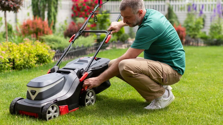 How Often Do I Need To Replace A Lawn Mower Belt?