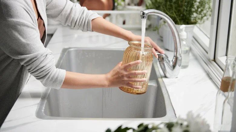 How Often Should You Be Changing The Water In Your Vase Of Cut Flowers?