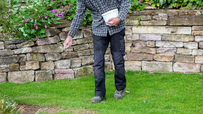 How Often To Water Grass Seed So It Thrives