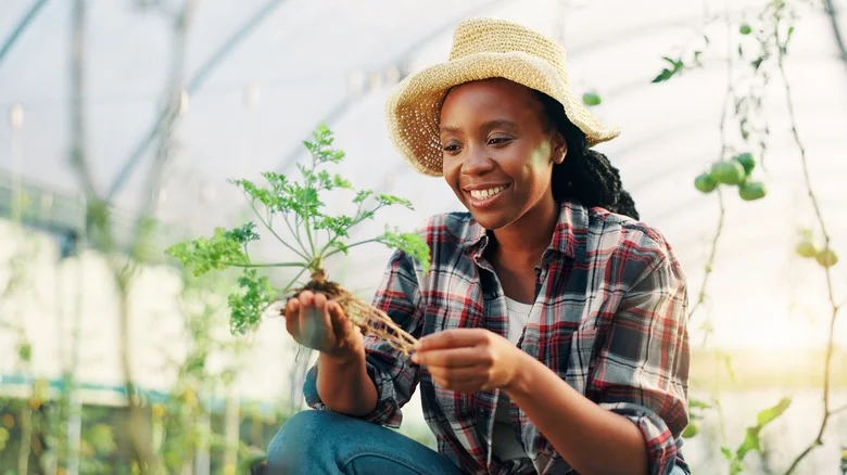 How This Beautiful, Fragrant Flower Can Hack Your Garden Vegetables Into Growing